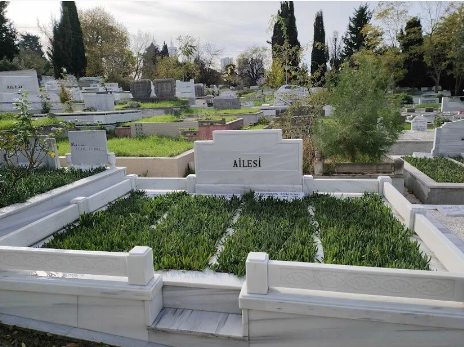 Kazayağı Bitkisi Mezar Bakımında Neden Tercih Edilir? | İstanbul Mezar Bakımı